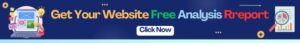 Seo Services in Noida
