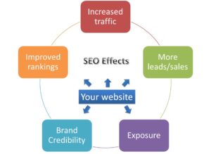 Seo Company in Noida
