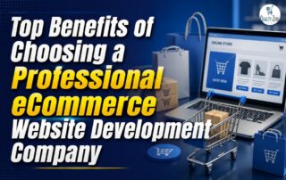 Top Benefits of Choosing a Professional eCommerce Website Development Company